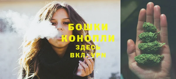 стаф Курчалой