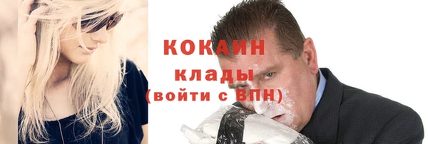 ПСИЛОЦИБИНОВЫЕ ГРИБЫ Щучье