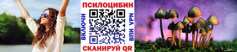мориарти Telegram  Гремячинск  Галлюциногенные грибы Psilocybine cubensis 